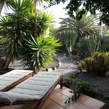 Casa Panama,In Der Finca Mimosa Тегисе Экстерьер фото